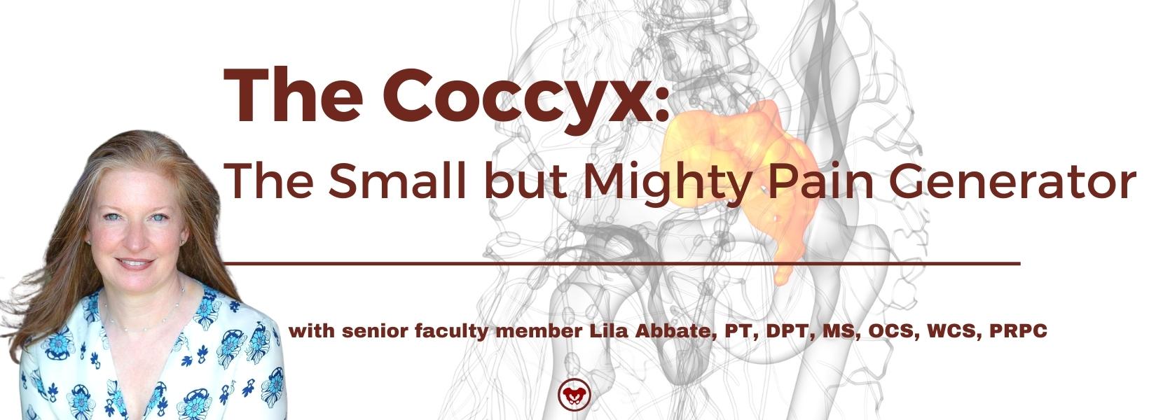 The Coccyx: The Small but Mighty Pain Generator
