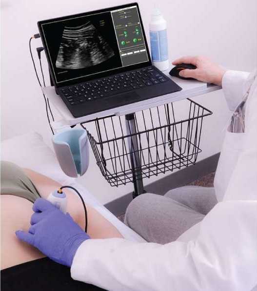 Ultrasound Imaging and Physical Therapy Practice