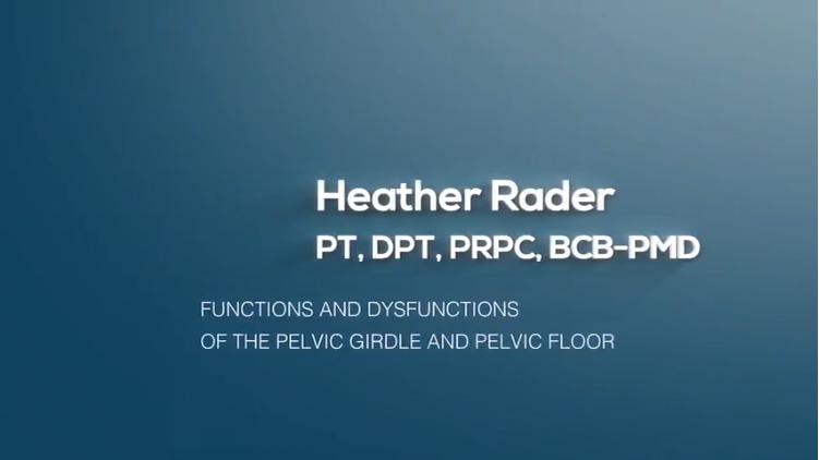 Functions and Dysfunctions of the Pelvic Girdle and Pelvic Floor