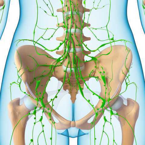 On Pelvic Pain and Lymphatic Drainage