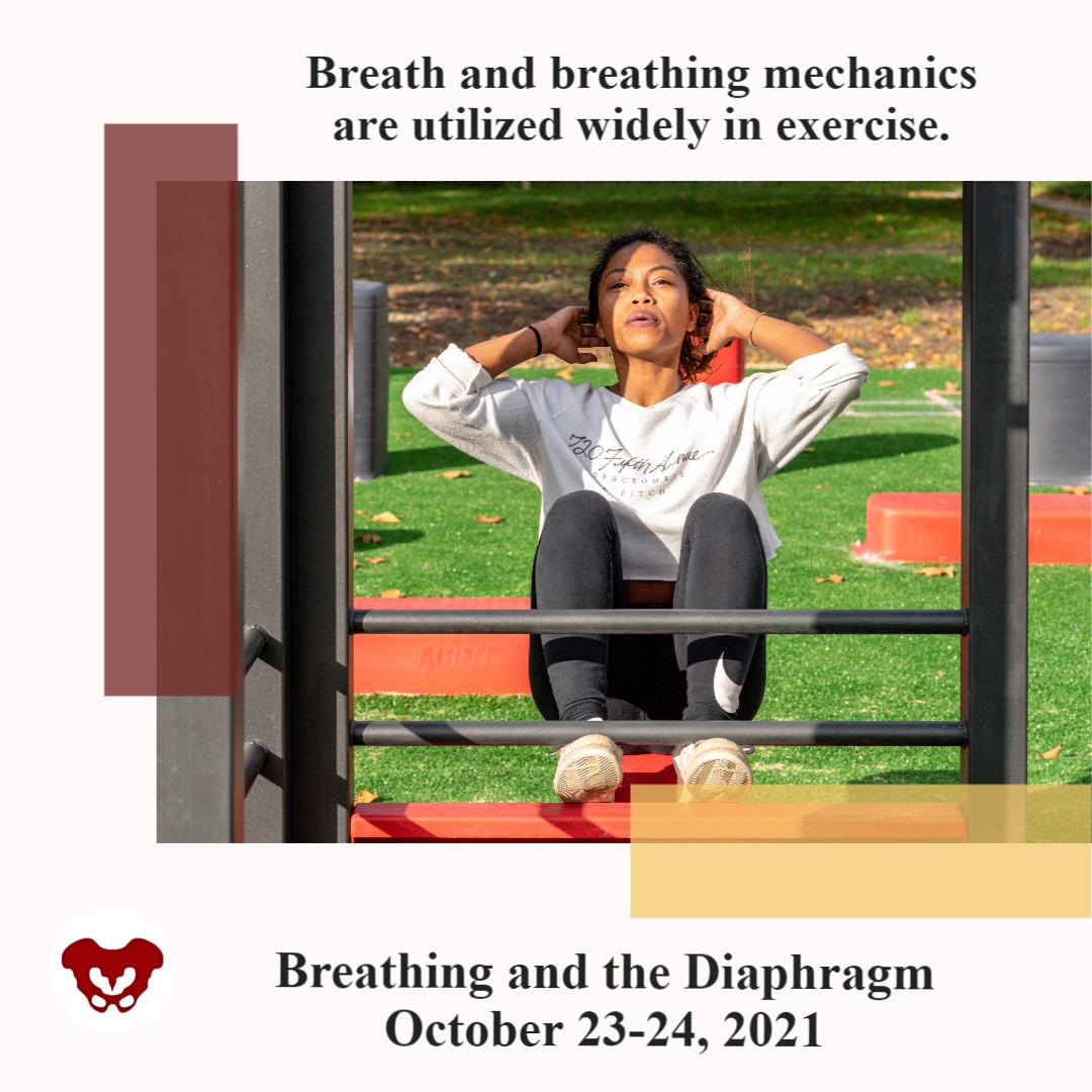 Breathing Dynamics and Exercise