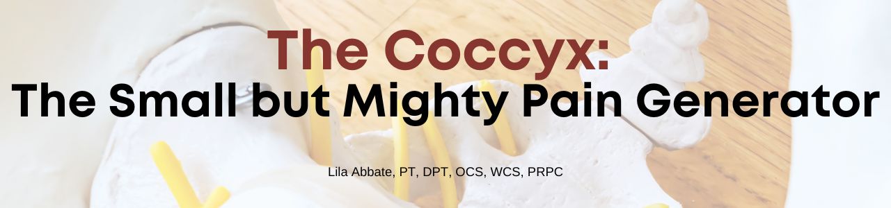 The Coccyx: The Small but Might Pain Generator