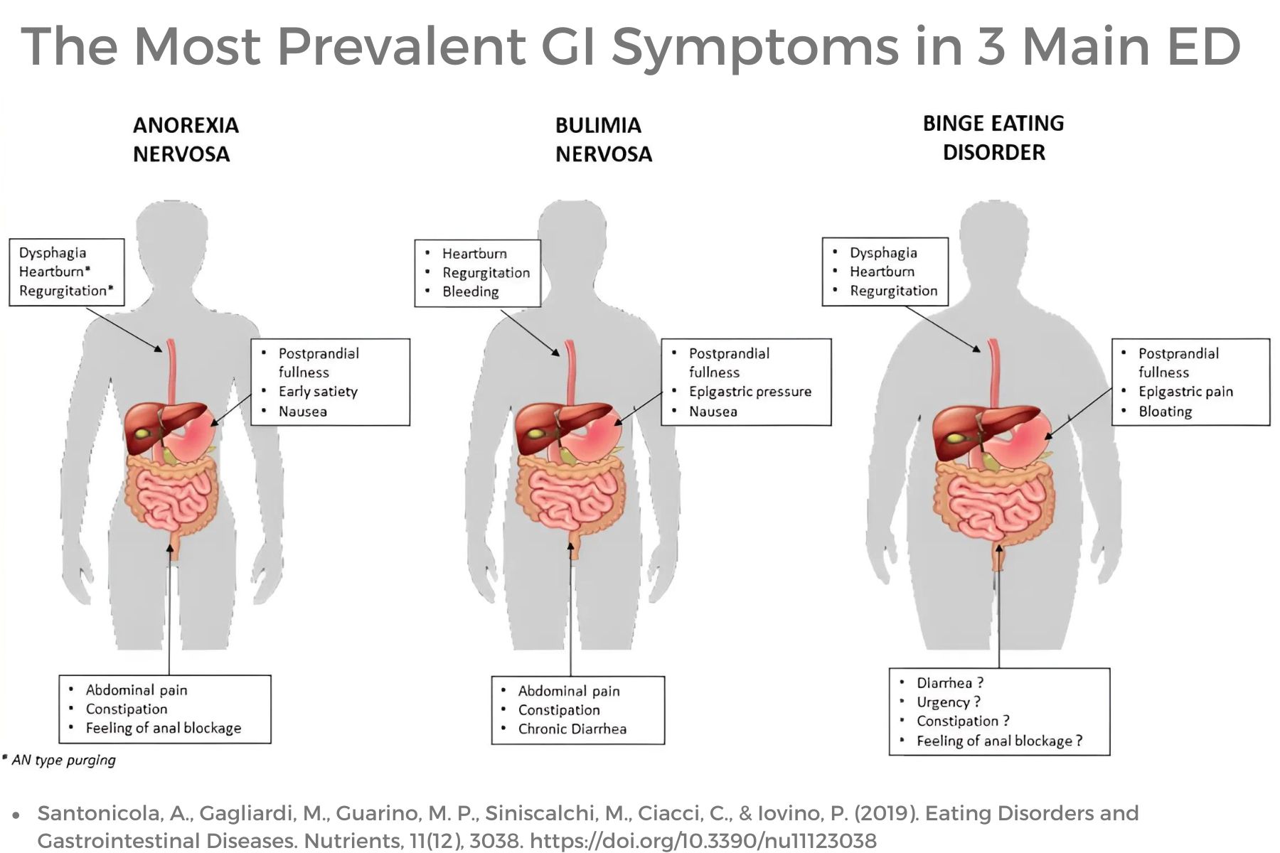 BLOG ED 9.24.24 GI Symptoms